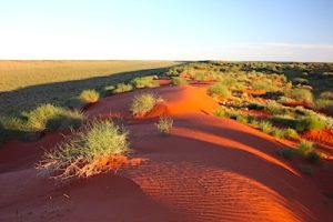 Simpson Desert